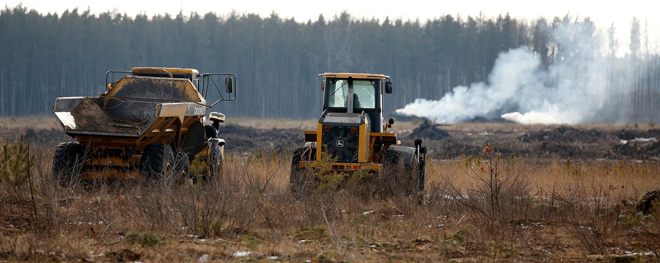 The mixed pine forests of central Minnesota are rapidly being replaced with agricultural fields. PotlatchCorp. is divesting its commercial forest lands, and its cheaper for potaote producers and farmers to tear out the forest and replace it with intensively farmed row crops like ptoatotes, corn and soybeans.