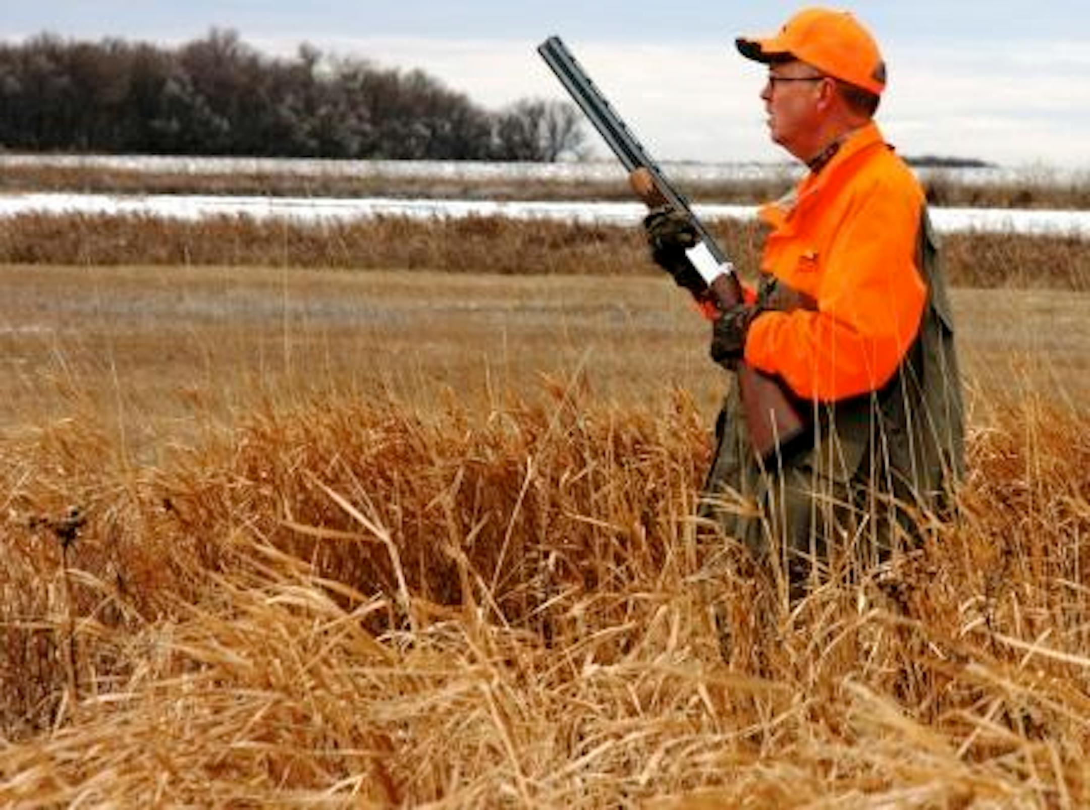 Grasslands and a wild pheasant population of more than 8 million birds keep hunters coming back to South Dakota.