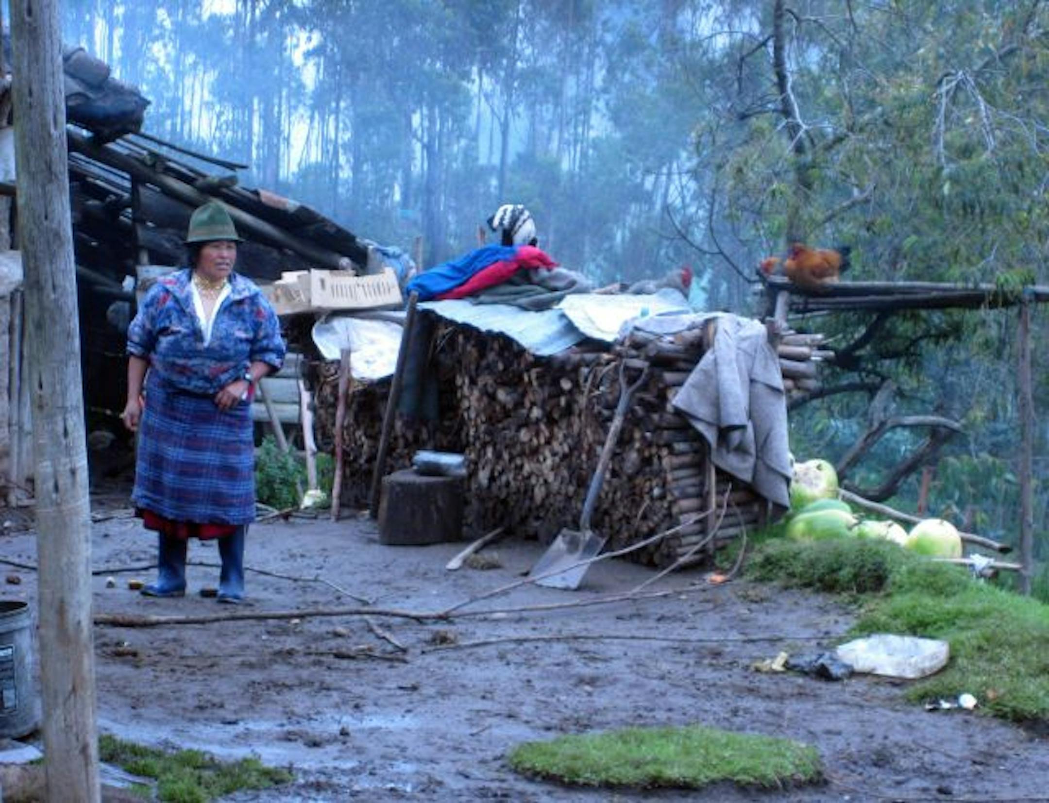 A farm woman, her woodpile, melons and roosting chickens greeted hikers near Hacienda Zuleta in the Ecuadoran Highlands.
