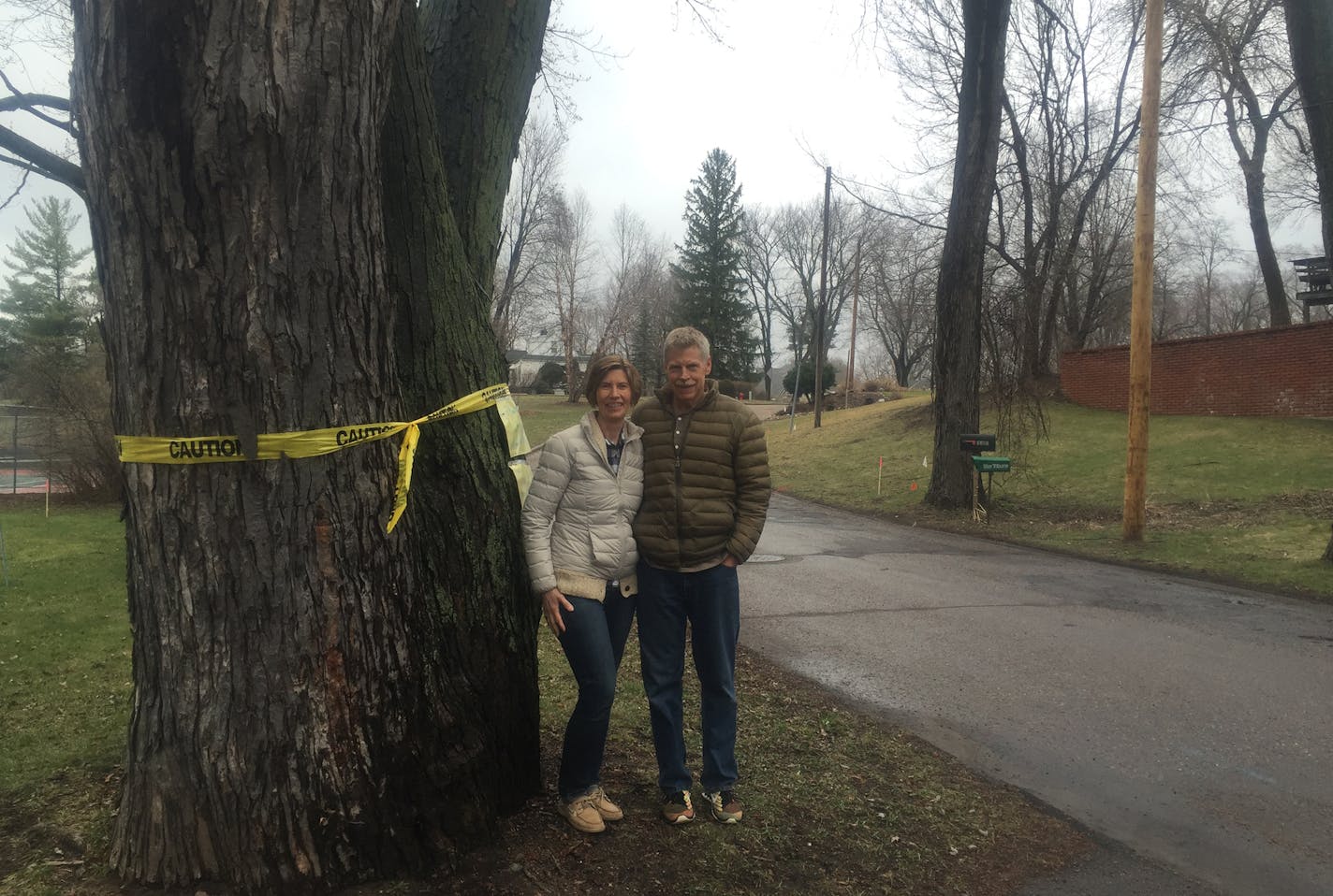 Mary and Joe Schmidt of Minnetonka near one of their neighborhood trees scheduled to be cut down. They&#x2019;ve threatened to get a restraining order to save the trees, which &#x201c;are priceless to us.&#x201d;