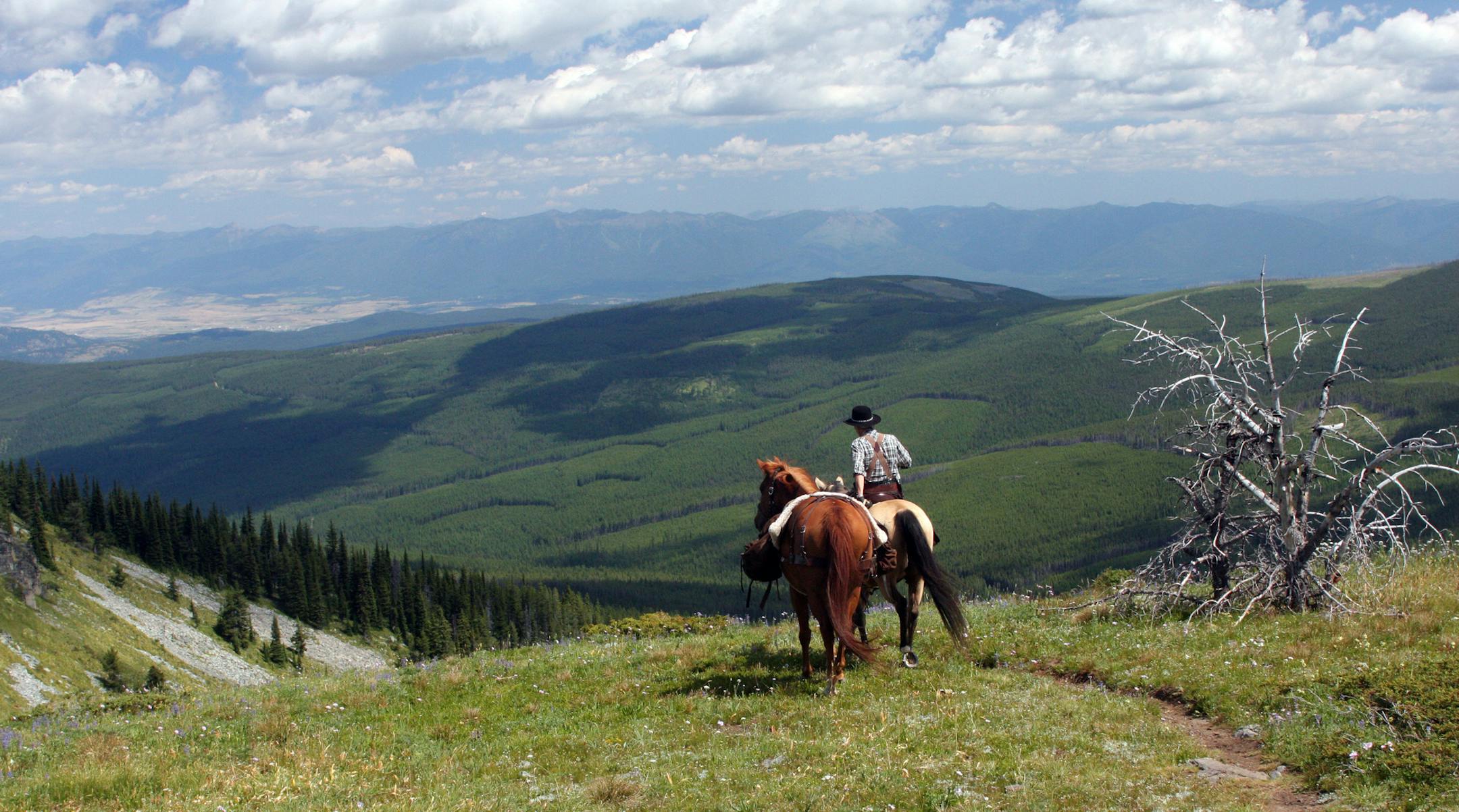 IMG 1504: A horsepacker heads downvalley from McGuire Lookout Cabin on the Kootenai National Forest in Montana.