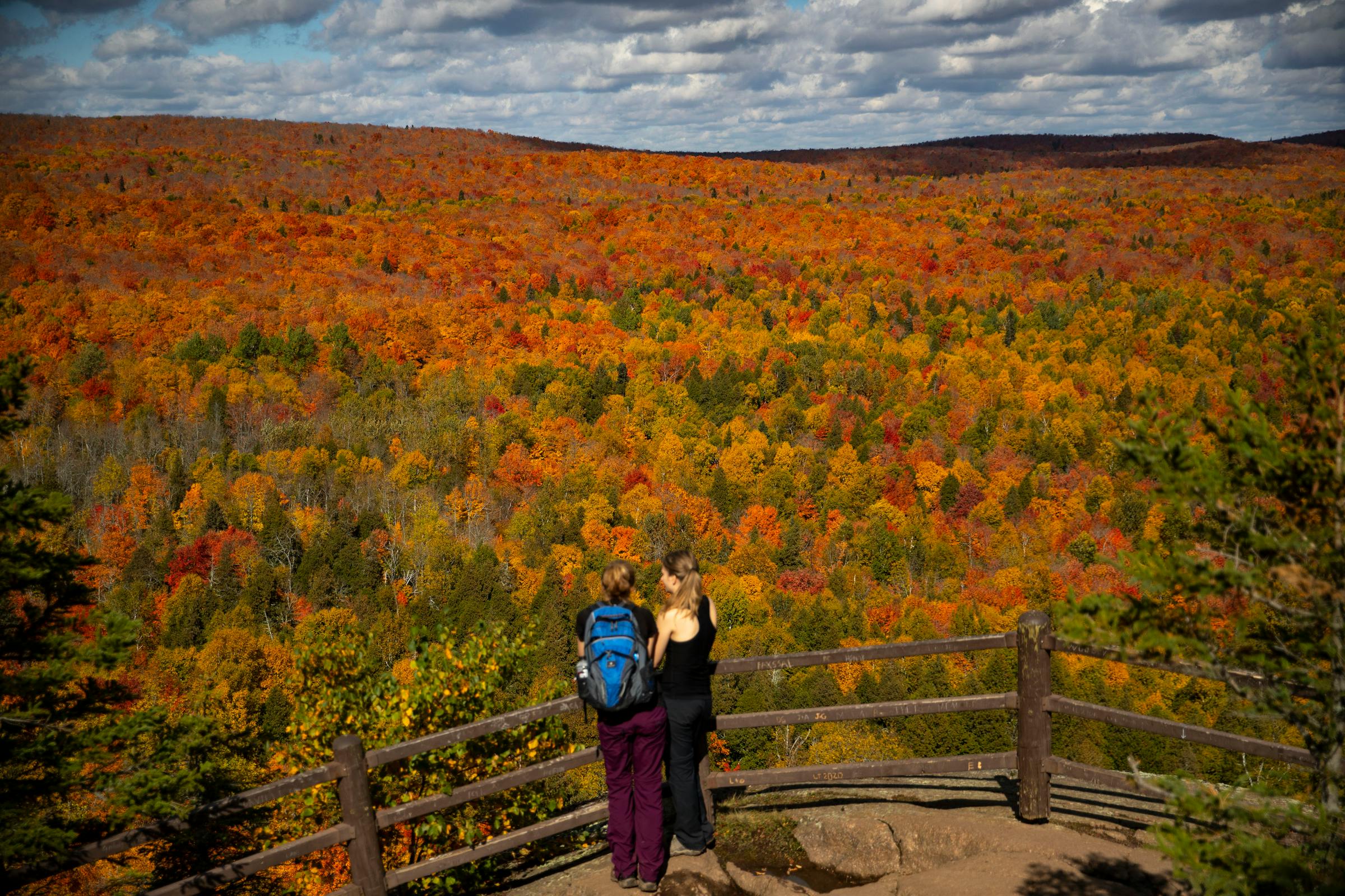 Trump’s plan to strip protections from federal forests affects 62K acres in Minnesota