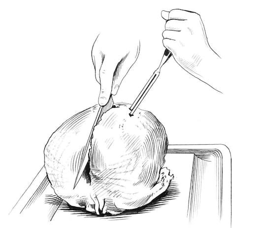 How to carve a turkey, Step 5.
