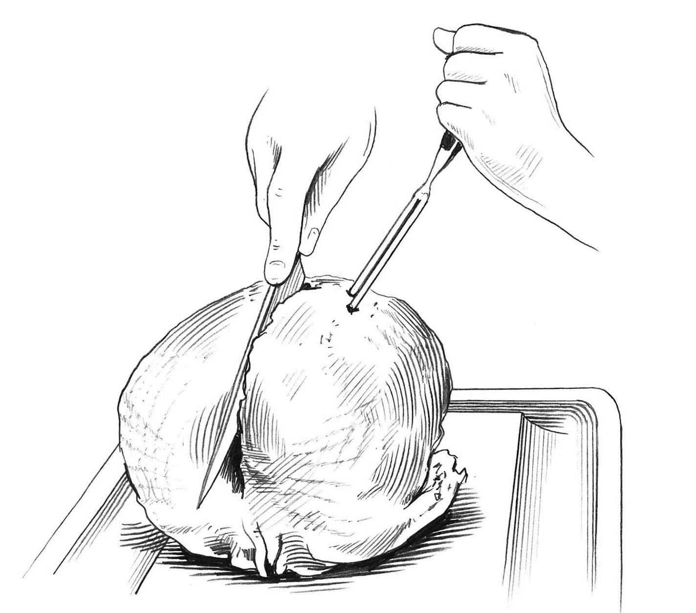 How to carve a turkey, Step 5.