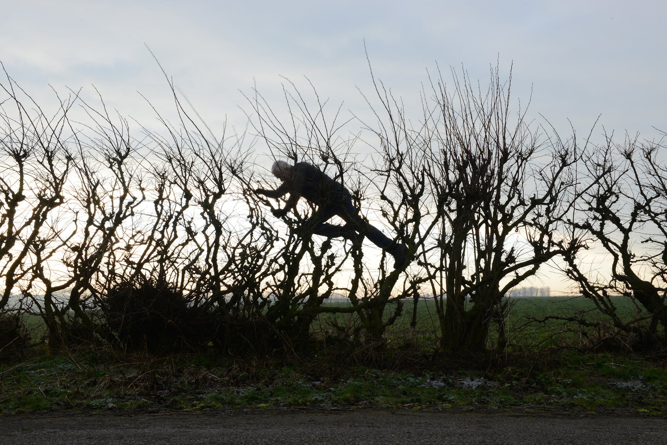 Andy Goldsworthy in "Leaning into the Wind," a Magnolia Pictures release. (Thomas Riedelsheime/Magnolia Pictures) ORG XMIT: 1225542