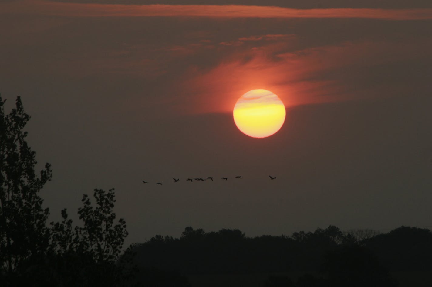 Sunrise in the Minnesota River Valley on the opening of the 2008 mourning dove season. A flock of Canada geese fly beneath a sun obscured by haze from high humidity.