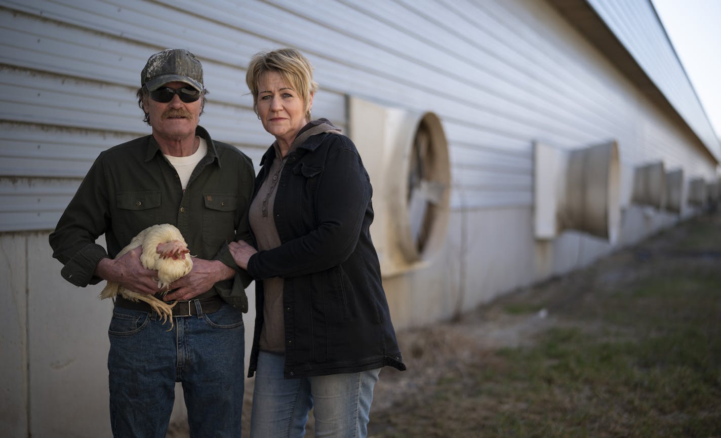 Kerry and Barb Mergen outside their now empty chicken house with a straggler who managed to elude the crew that came in just before Easter to euthanize the other 61,000 laying hens in their flock. ] JEFF WHEELER &#x2022; Jeff.Wheeler@startribune.com Kerry Mergen and his Barb were contract chicken farmers until demand plummeted and the owner of their chickens, Daybreak Foods, decided to cut their losses and euthanize the 61,000 hen flock. Kerry and Barb were photographed outside their chicken hou