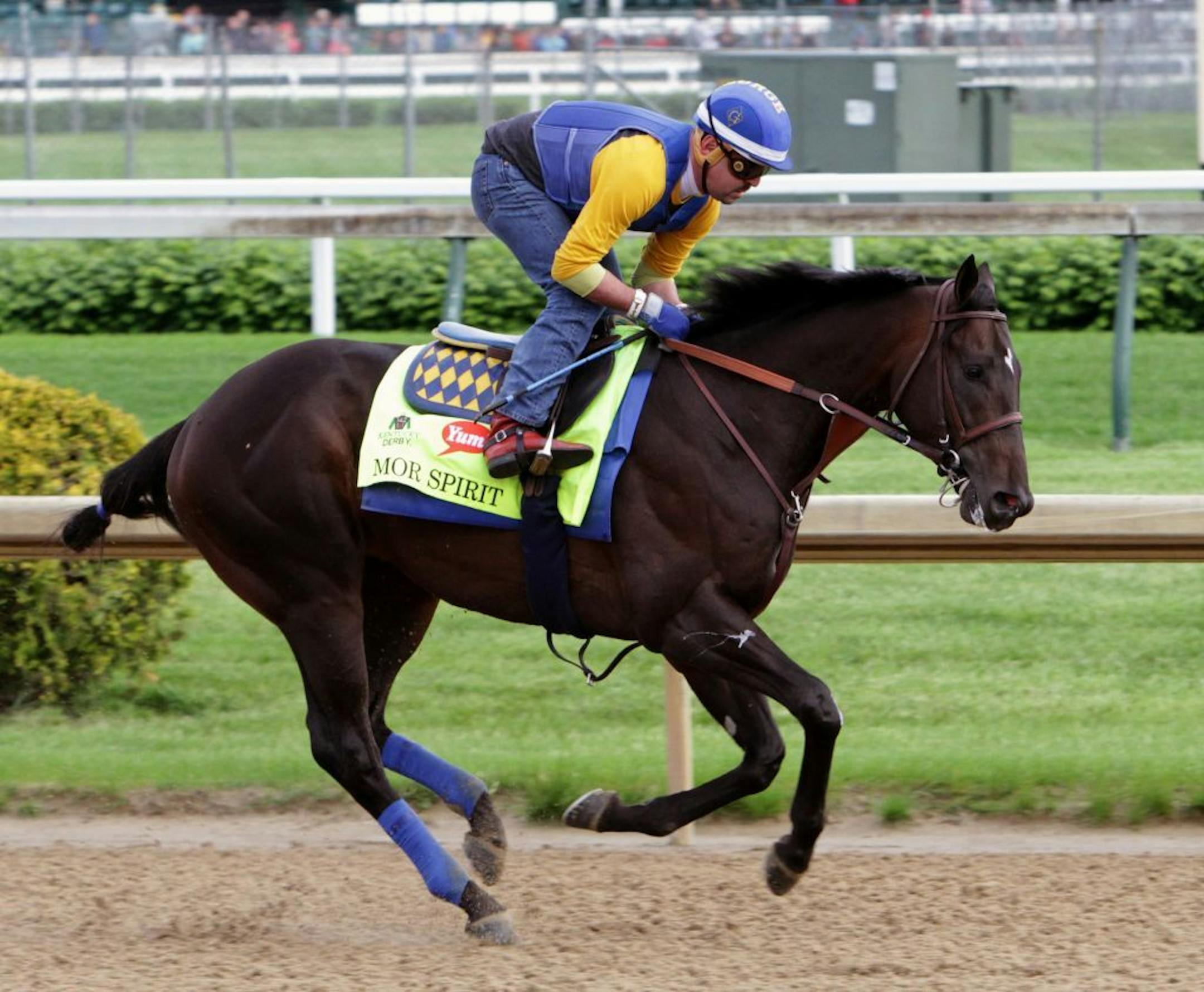 Kentucky Derby entrant Mor Spirit, ridden by Exercise rider George Alvarez, gallops at Churchill Downs in Louisville, Ky., Thursday, May 5, 2016. The 142nd Kentucky Derby is Saturday, May 7.