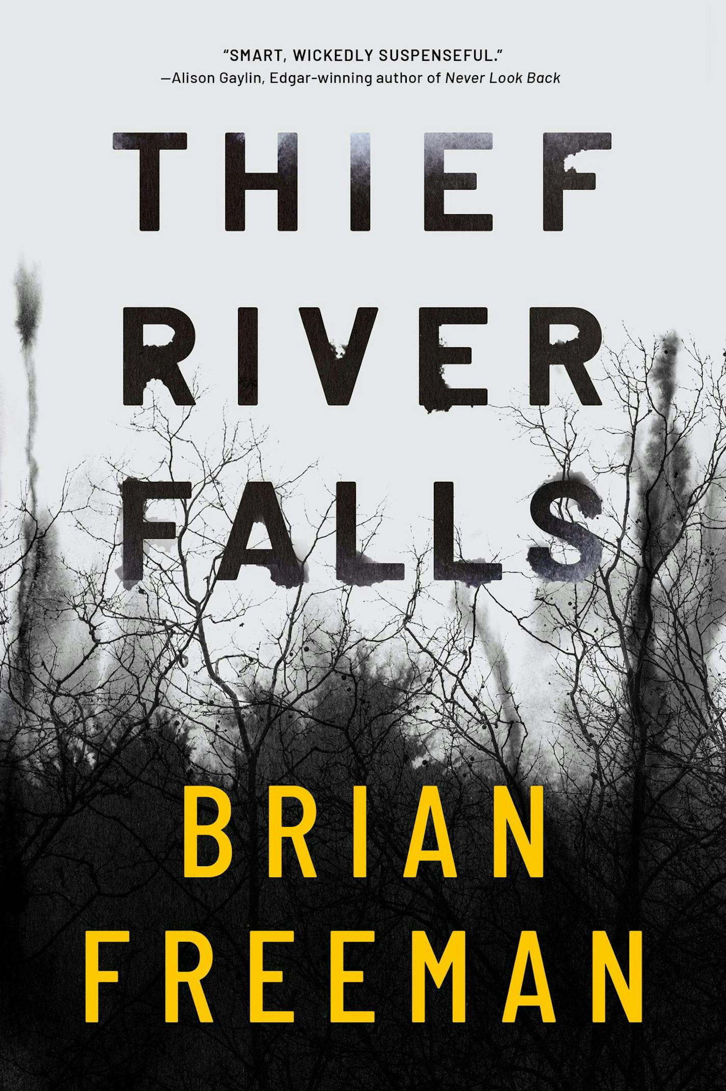 "Thief River Falls" by Brian Freeman