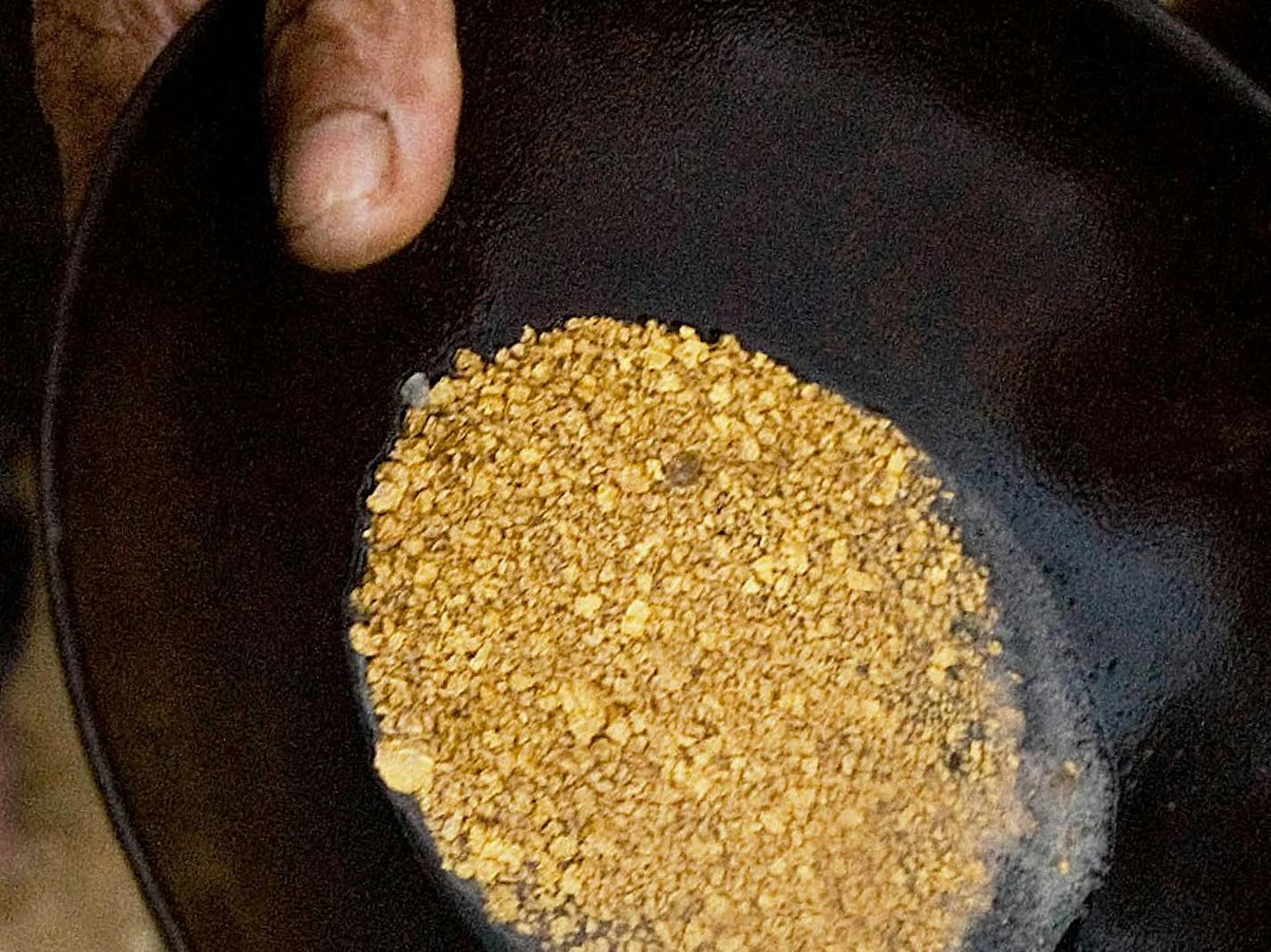 A Brazilian miner holds a pan with gold nuggets after a day of work.