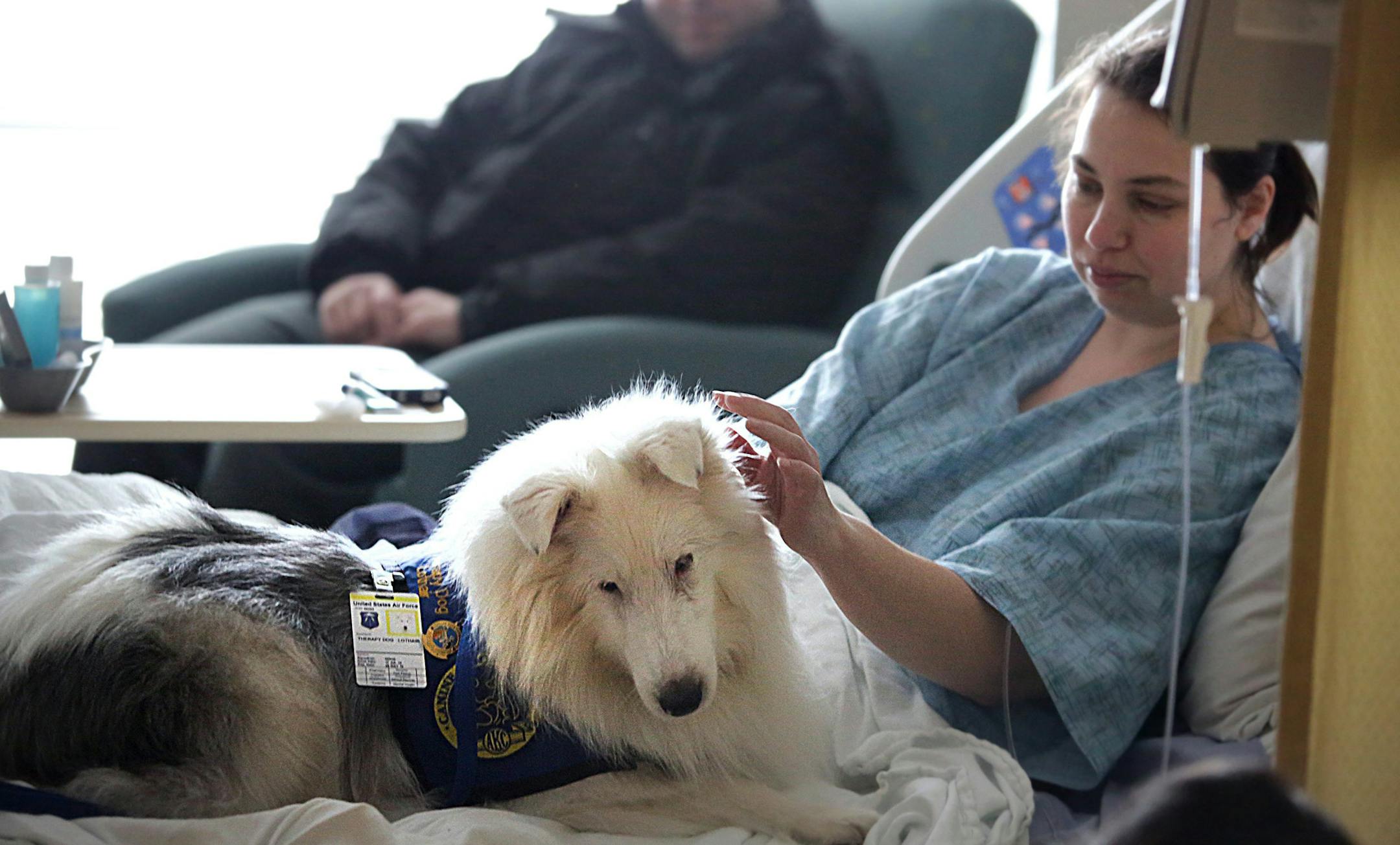 Lothair, a deaf therapy dog that owner Melanie Paul takes to Langley AFB weekly, waits to be petted by patient Rebecca Bennett-Jordan as Steven Jordan watches on July 7, 2015 in Hampton, Va. Paul says this is the first deaf therapy dog that understands/uses American Sign Language. (Judith Lowery/Daily Press/TNS)