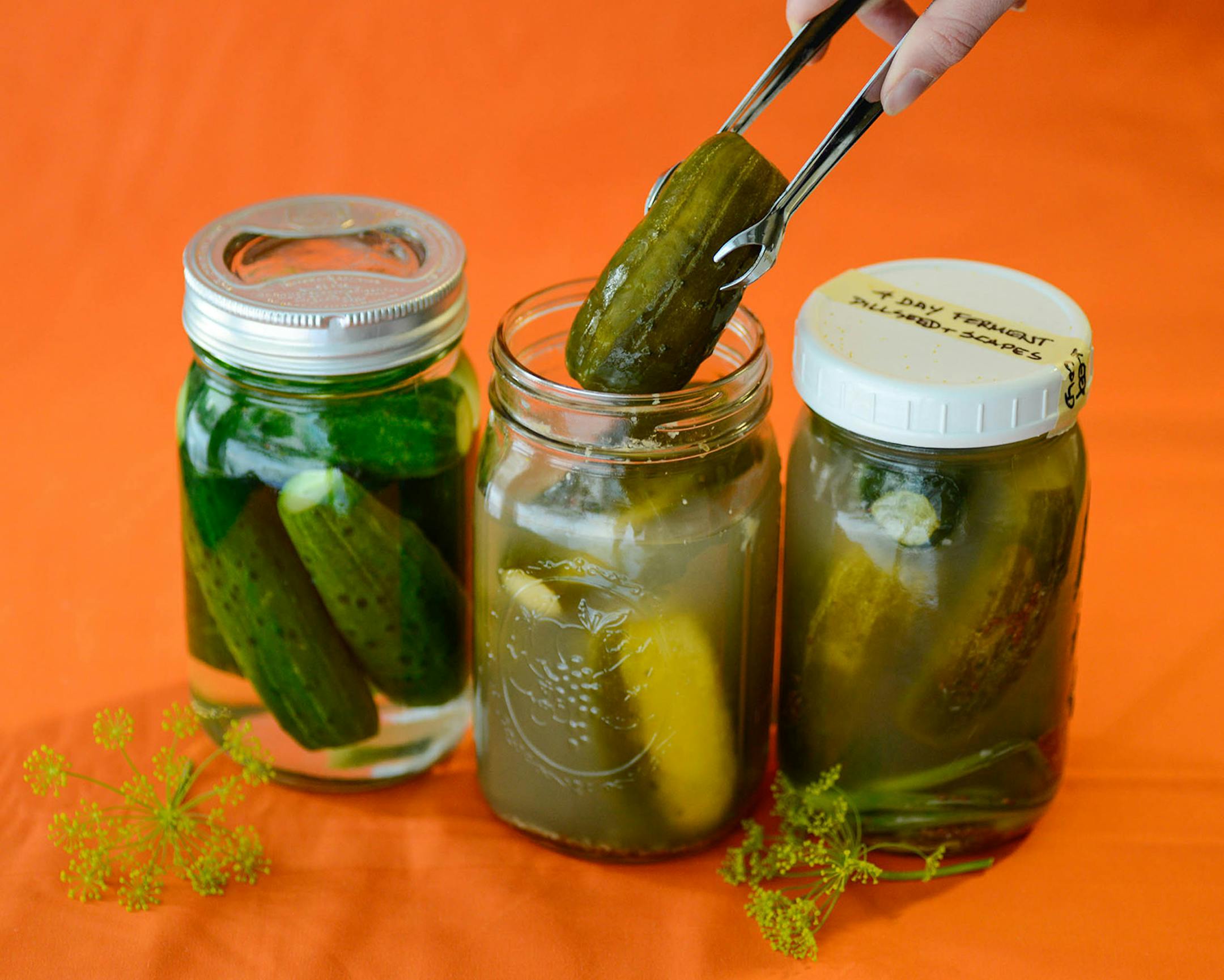 Deli-Style Fermented Sour Pickles.