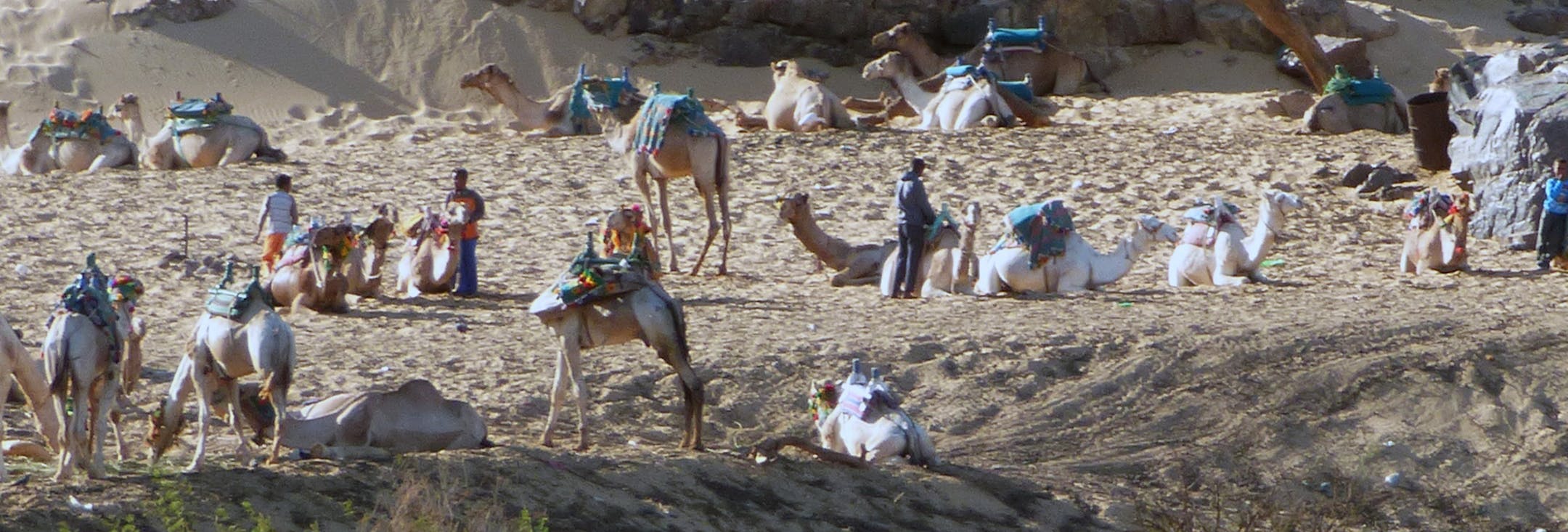 Sometimes, the scenes along the Nile riverbanks seem like something out of a movie set. (Terri Colby/Chicago Tribune/TNS) ORG XMIT: 1186930
