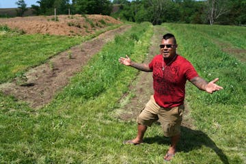 Luis Hummel at his hemp farm in Lanesboro, Minn. "This is war," he said.