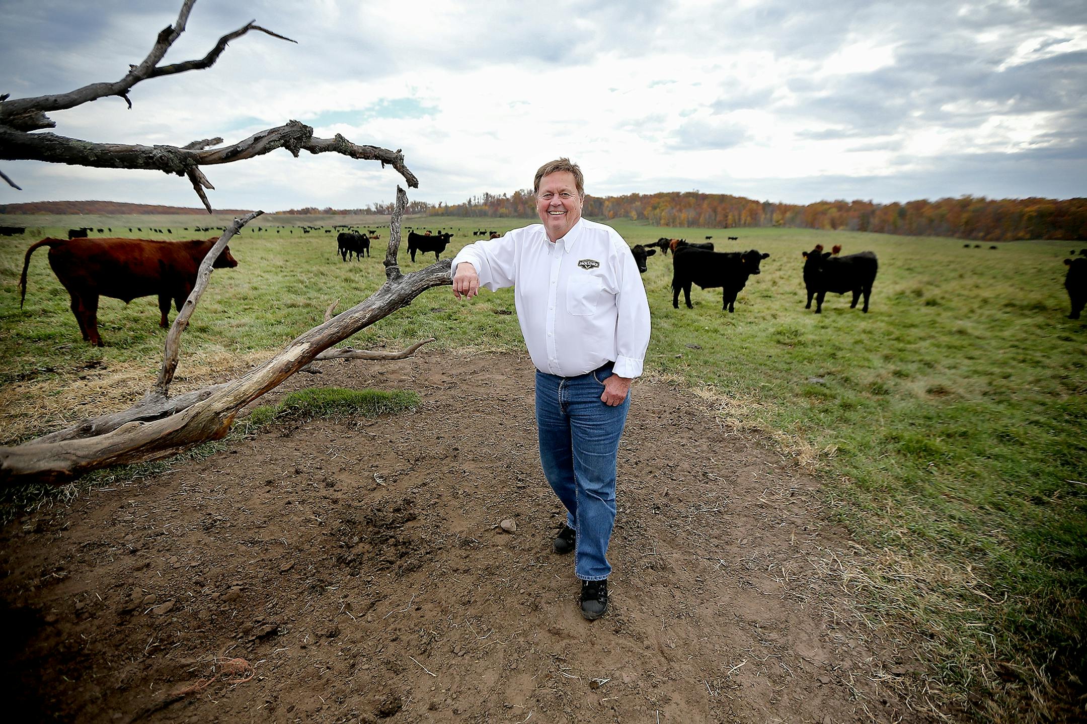 Jack Link stood in a field of his cattle, where he first started his career, Monday, October 19, 2015 in Minong, Wis. The Wisconsin-based company started selling beef jerky 30 years ago and now sells internationally.