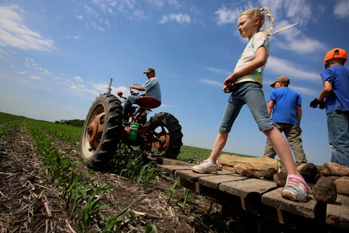 Darwyn Bach, a hog and crop farmer west of Clarkfield (On tractor), spent the day picking rocks from a corn field with his five children. Here, Natalie, 7, Dylan, 11, and Isaac, 9, keep a watch out for rocks.