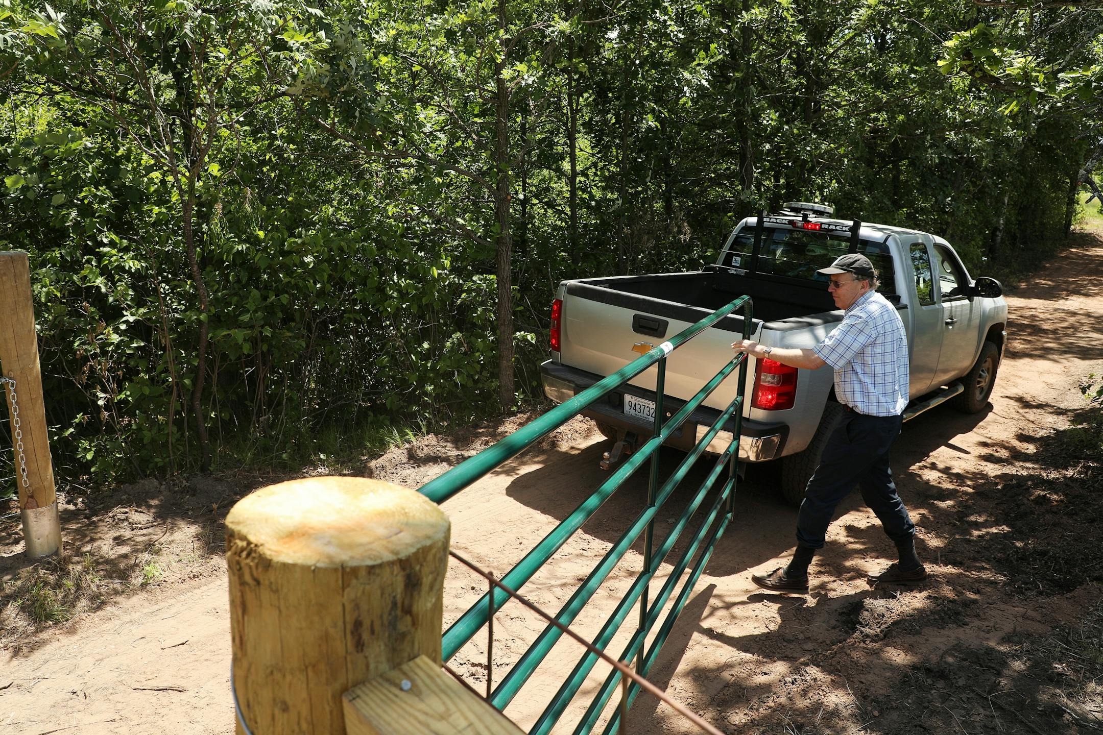Researcher Dave Tilman opened a gate into the enclosure for the newly arrived bison from North Star Bison in Wisconsin as he and a fellow researcher went to see how the animals were acclimating to their new home Wednesday at the University of Minnesota's Cedar Creek Ecosystem Science Reserve in East Bethel.