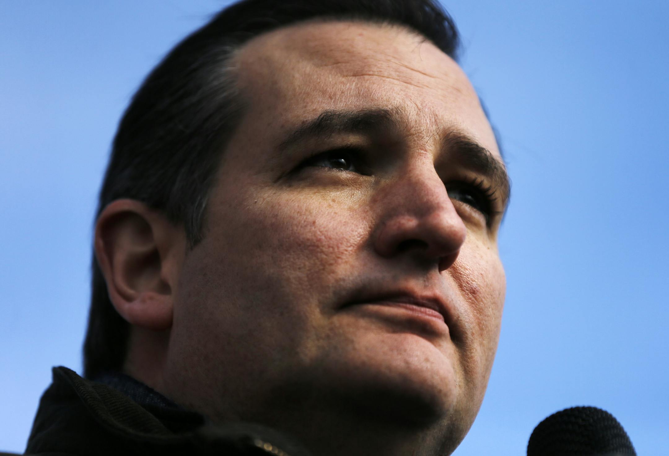 Republican presidential candidate Sen. Ted Cruz, R-Texas speaks Tuesday, Jan. 12, 2016, during a campaign stop at Granite State Indoor Range in Hudson, N.H. (AP Photo/Matt Rourke)