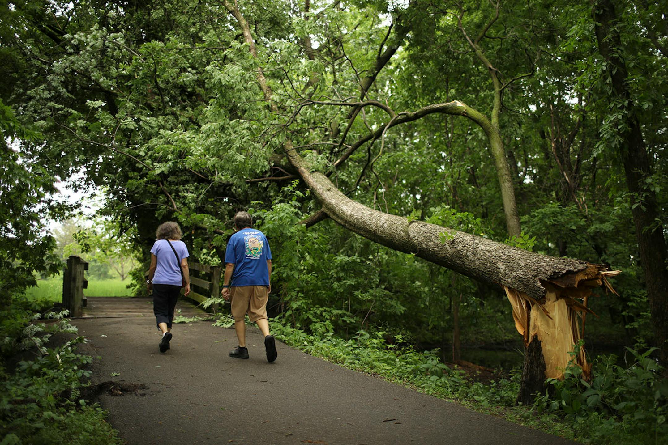 The storm caused widespread damage across the Twin Cities, including this downed tree in Minneapolis near Lake Nokomis.
