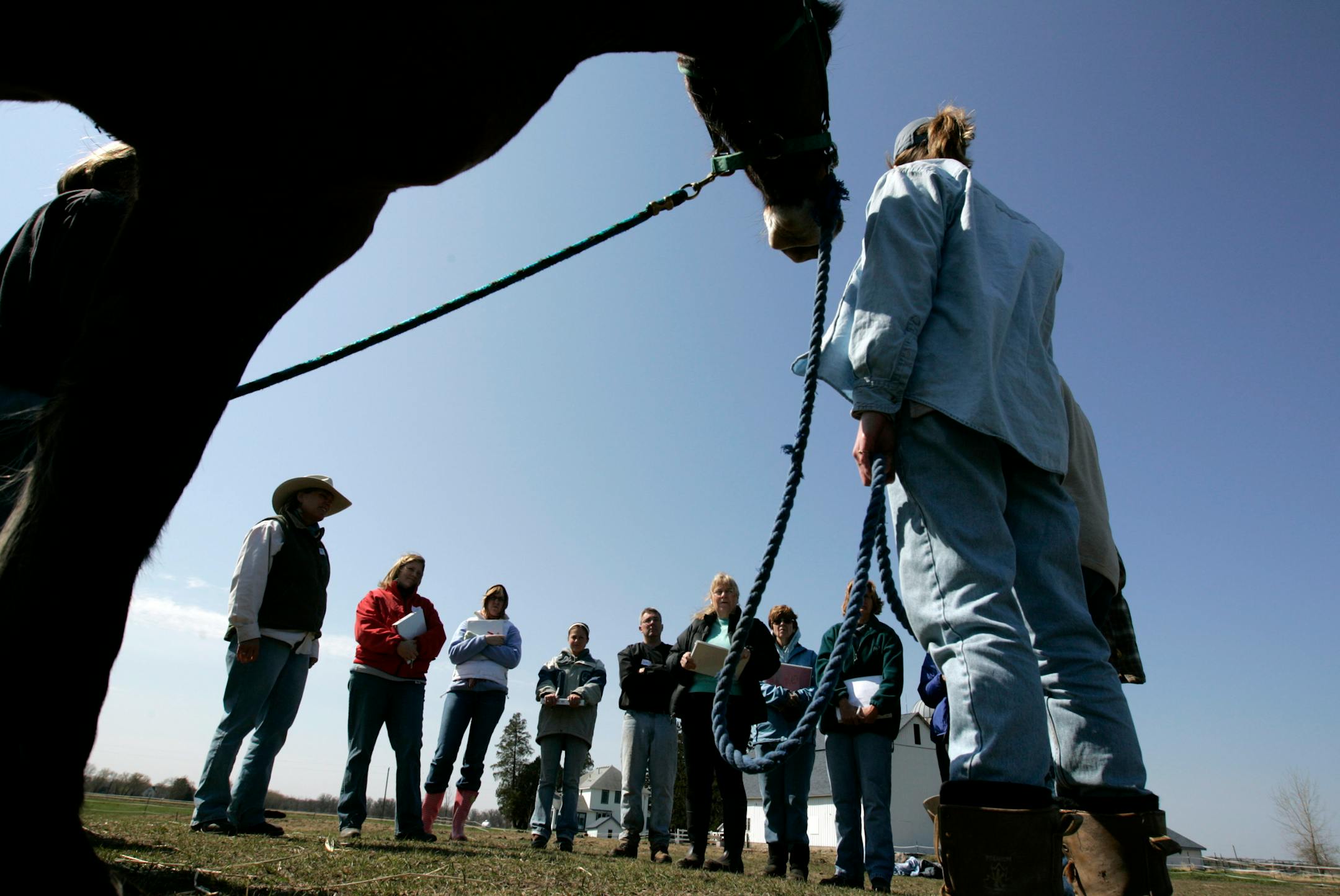A group gathered at Acres for Life Ranch in Chisago Township for �equine therapy�.