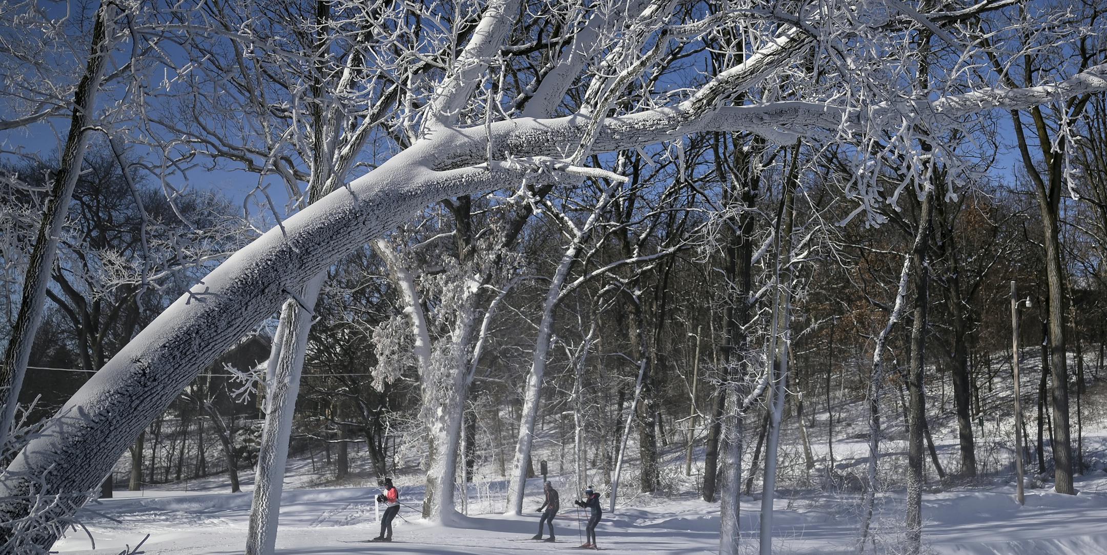 Cross-country skiers made their way around Theodore Wirth Park Thursday afternoon in Minneapolis, Minn. ] Aaron Lavinsky &#x2022; aaron.lavinsky@startribune.com Temperatures below zero blanketed the entire state ahead of potential double-digit snowfall in the Twin Cities and elsewhere in Minnesota and western Wisconsin. Cross country skiiers were photographed at Theodore Wirth Park on Thursday, Jan. 16, 2020 in Minneapolis, Minn.