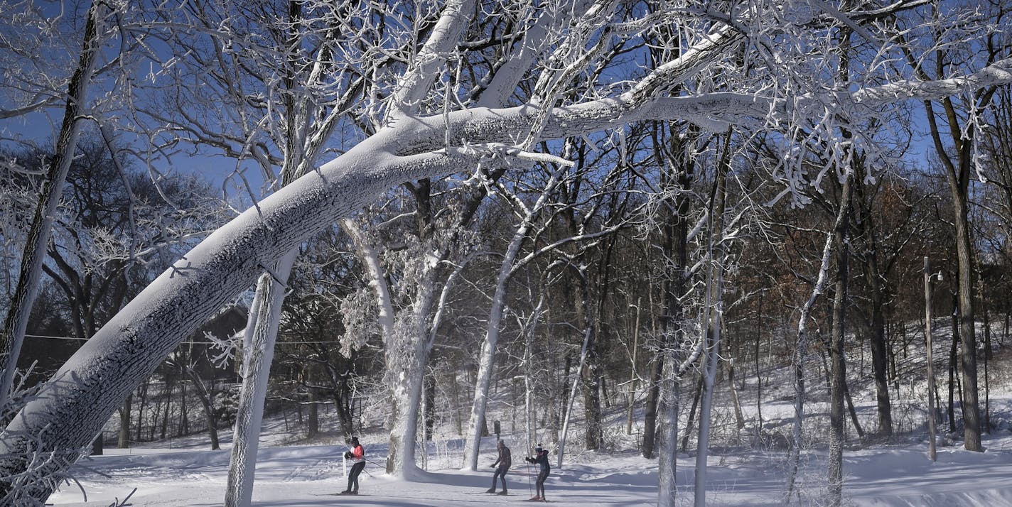 Cross-country skiers made their way around Theodore Wirth Park Thursday afternoon in Minneapolis, Minn. ] Aaron Lavinsky &#x2022; aaron.lavinsky@startribune.com Temperatures below zero blanketed the entire state ahead of potential double-digit snowfall in the Twin Cities and elsewhere in Minnesota and western Wisconsin. Cross country skiiers were photographed at Theodore Wirth Park on Thursday, Jan. 16, 2020 in Minneapolis, Minn.