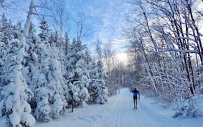 Given its location on an elevated rise near Detroit Lakes, Maplelag Resort often has snow on its cross-country trails, while other places remain brown