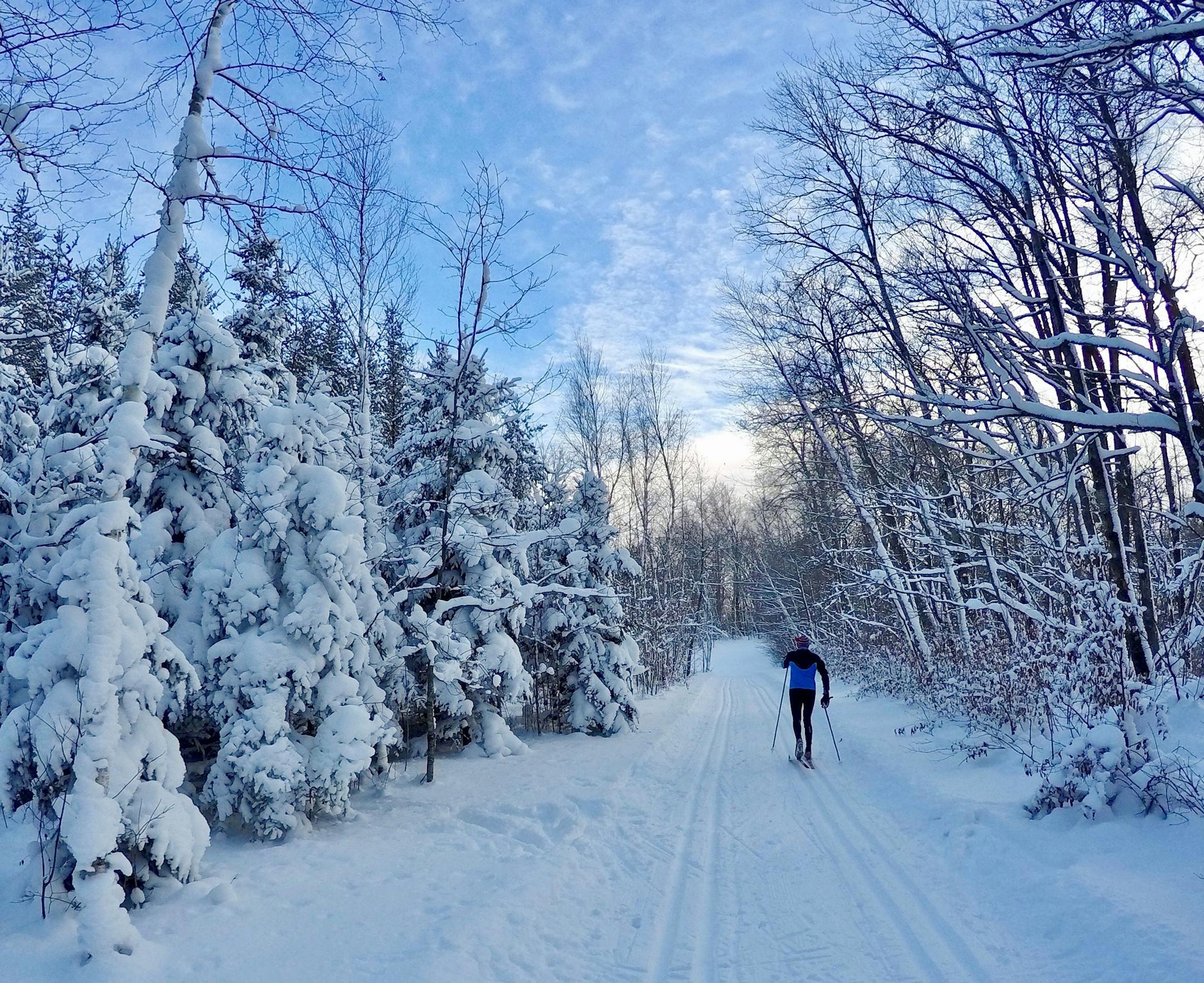 Given its location on an elevated rise near Detroit Lakes, Maplelag Resort often has snow on its cross-country trails, while other places remain brown.
