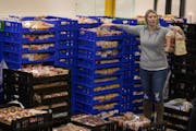 Megan Struxness of Minneapolis a volunteer , gathers loaves of bread at Second Harvest . Staff and volunteers at Second Harvest Heartland, the state's