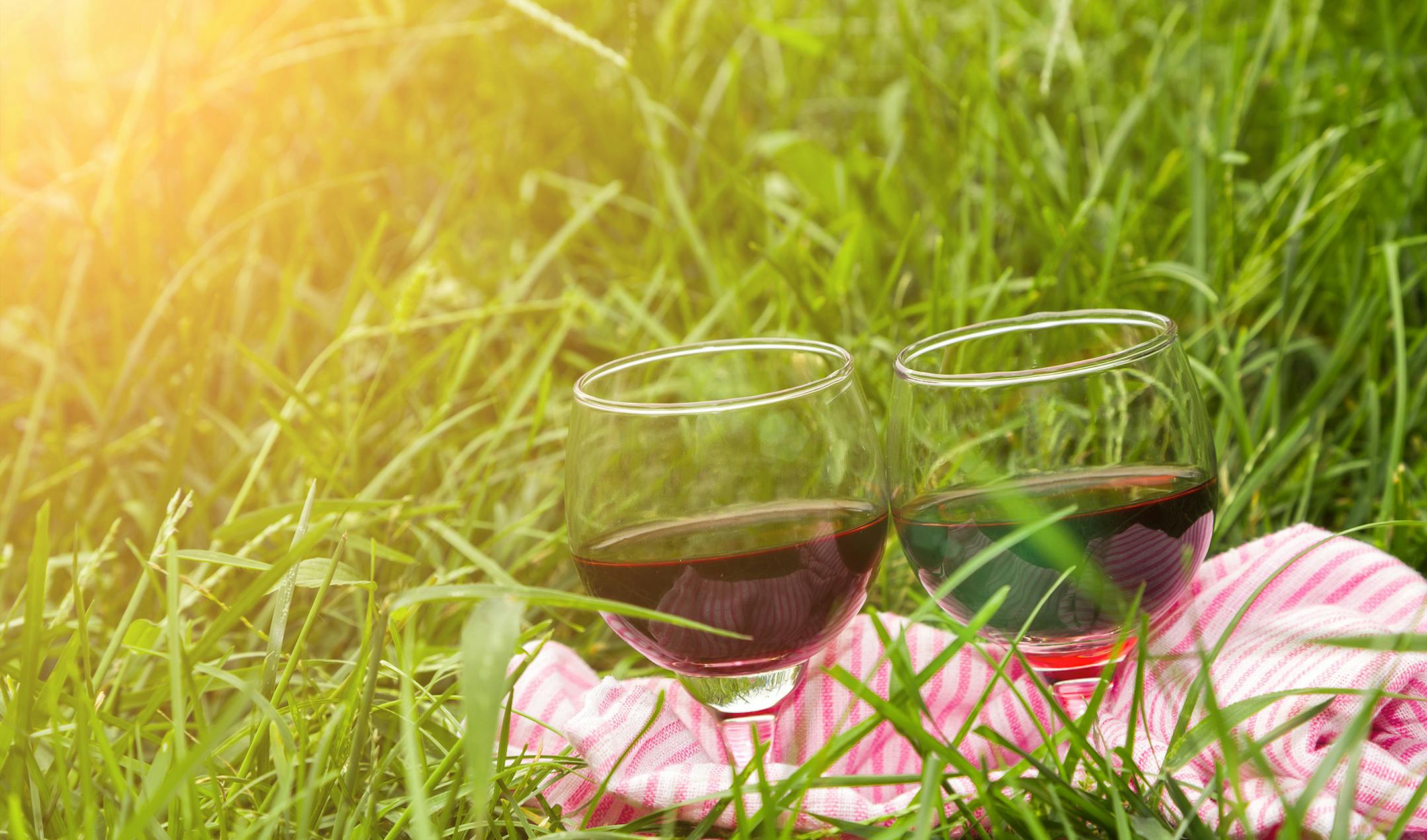 Include wine in your summer picnic plans.