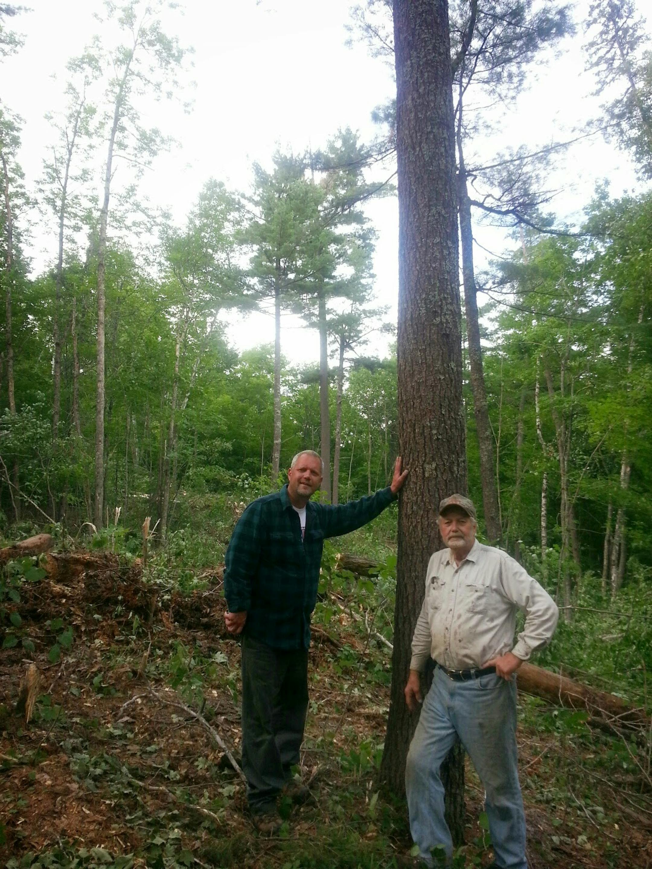 John Rajala and his father Jack prepare a site for white pine planting in 2014.