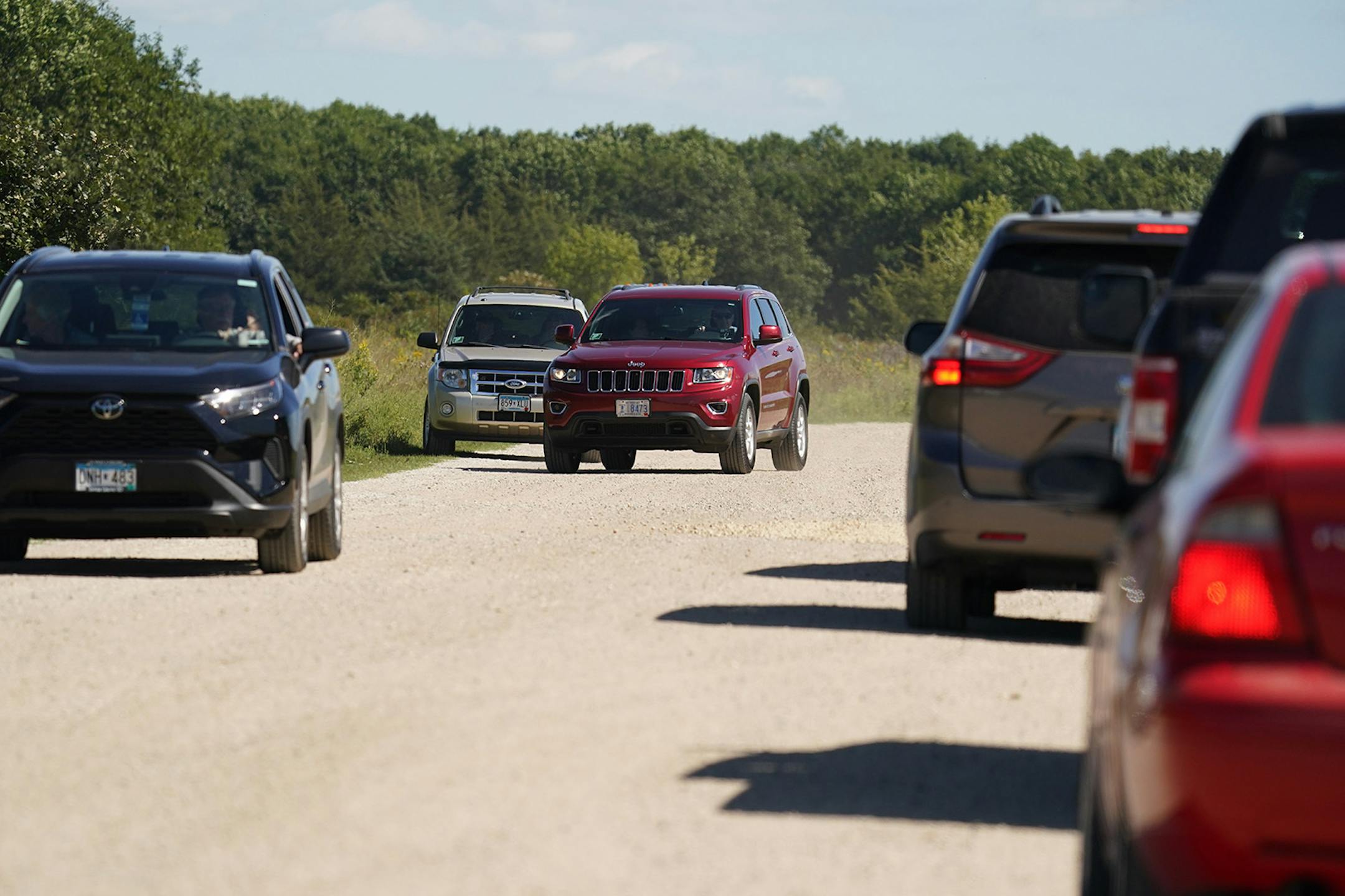 Park guests jockeyed for position along the Bison Drive to get a better look at the bison as they grazed the prairie Thursday at Minneopa State Park in Mankato.
