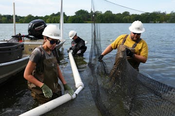 Natalie Windels and Maciej Bajer, both seasonal field technicians with Carp Solutions, along with Cameron Swanson, an assistant manager, check the box