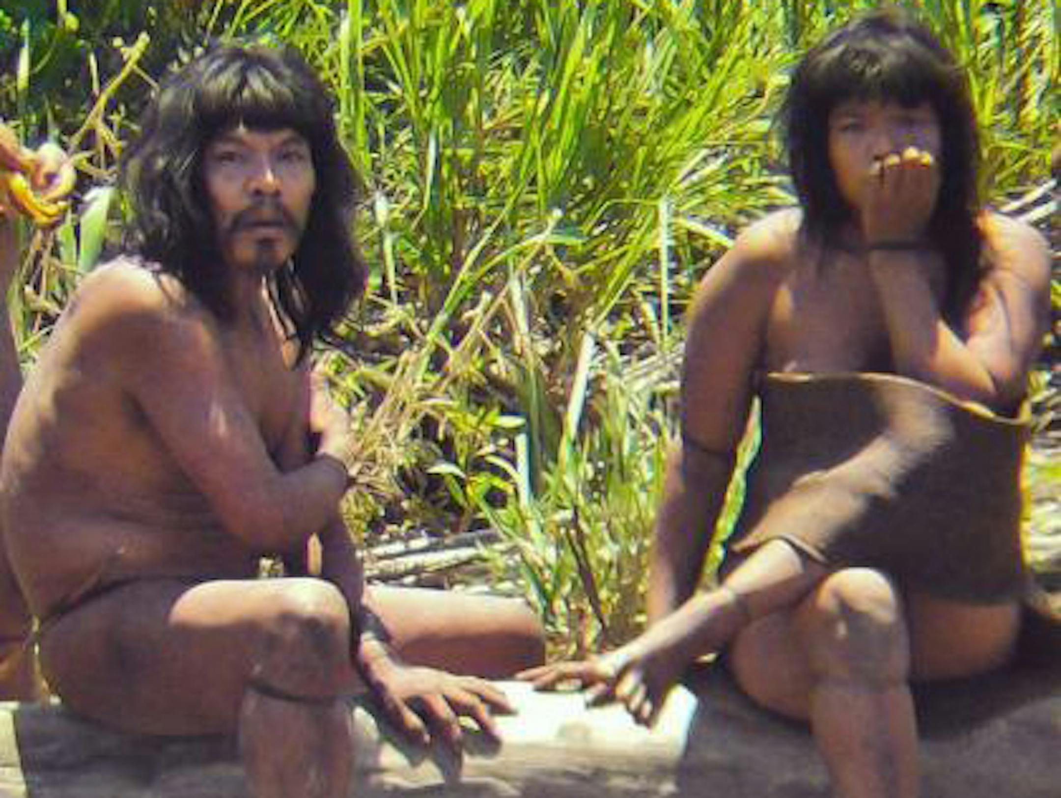 FILE - This Nov. 2011 file photo, shows members of the Mashco-Piro tribe, photographed at an undisclosed location near the Manu National Park in southeastern Peru. The Maschco-Piro first appeared in May 2011 after more than two decades in voluntary isolation.
