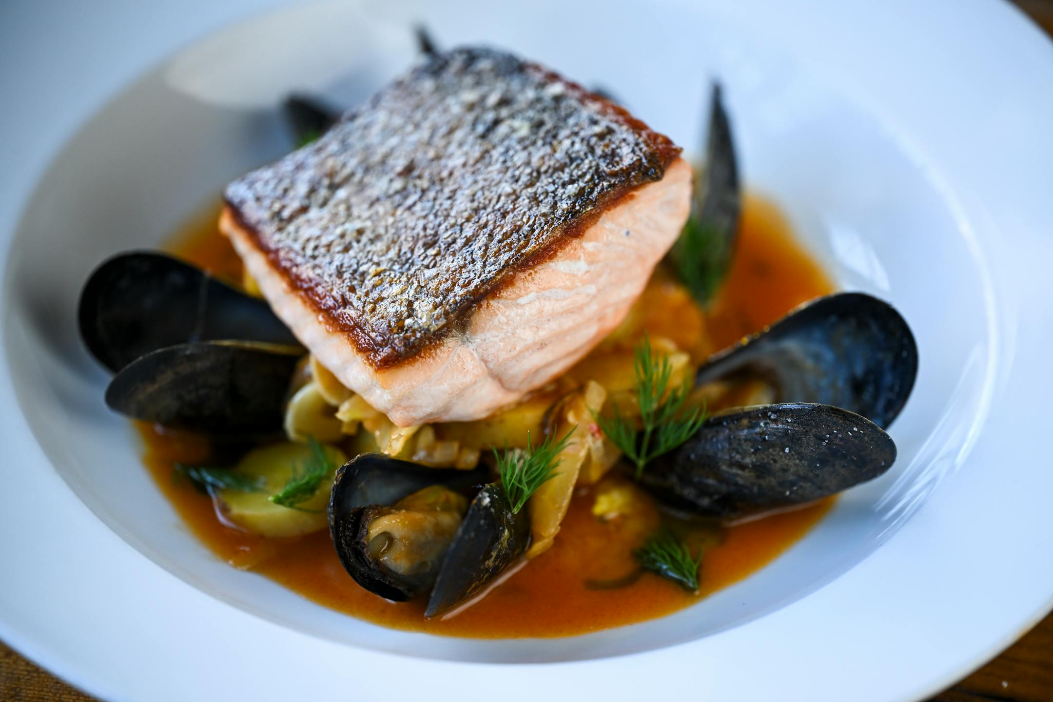 The Kvaroy Salmon with saffron cioppino, mussels and fennel gremolata at The Kenwood.