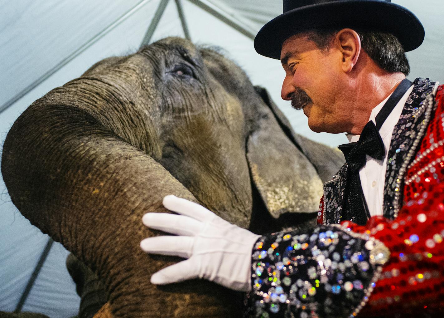 Ringmaster Peter Sturgis cozies up to Ellie, a 45-year old elephant that is part of a trio in the elephant act. At the St. Paul Osman Shrine Circus held at the Coliseum on the State Fairgrounds, organizers view the elephant show and rides as highlights, and worry that as more cities ban exotic animal shows, elephant appearances will phase out here, too.] Richard Tsong-Taatarii/rtsong-taatarii@startribune.com