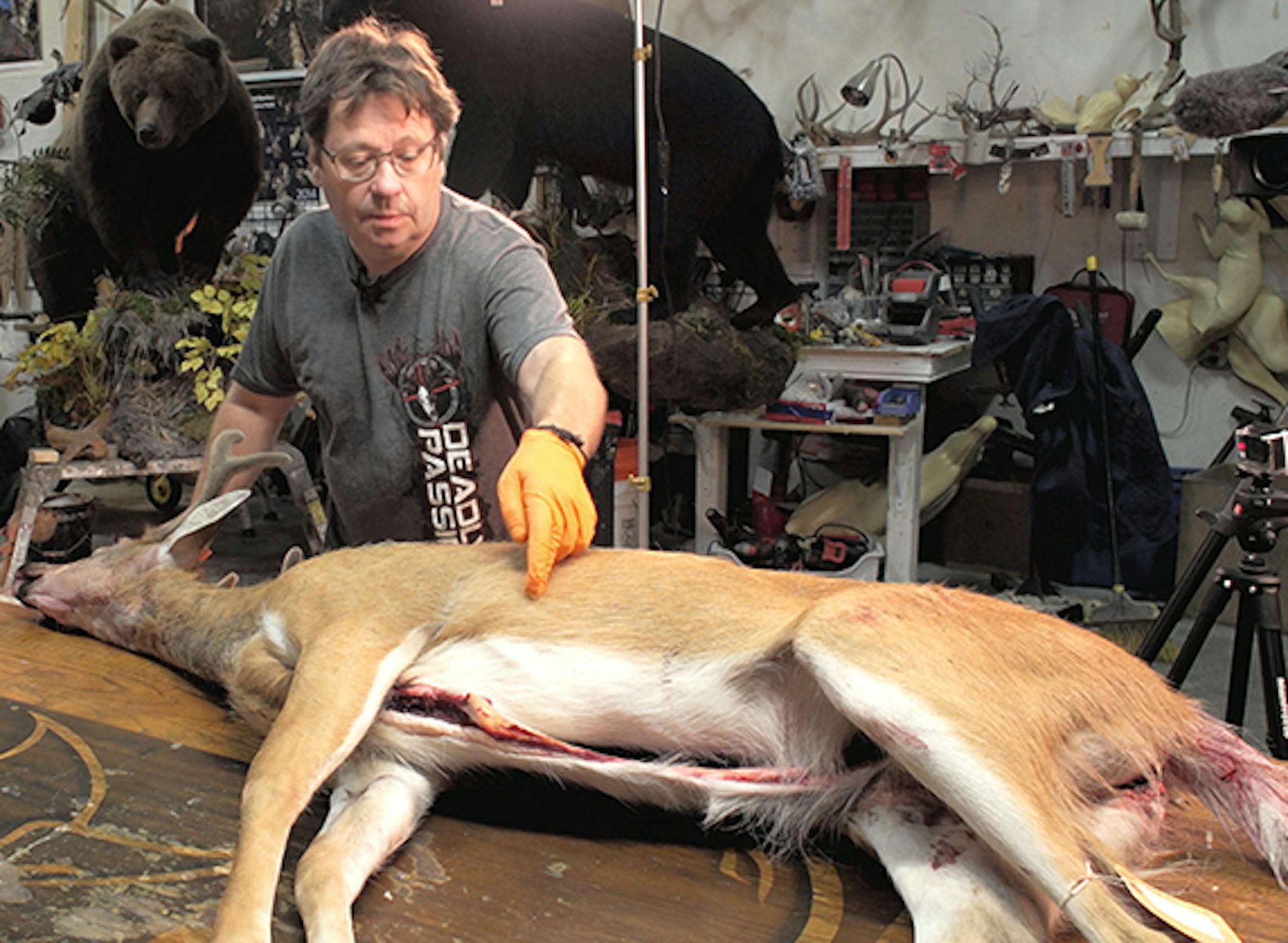 Taxidermist Robert Utne made an instructional video for the DNR to teach hunters how to comply with the carcass import ban.