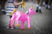 A child, carrying a blow-up unicorn, is captivated by bubbles from a vendor at the fair.