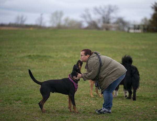 Heather Negen got a kiss from Leon, one of her dog Odin's playmates, while at the Bloomington Off-leash Dog Park Tuesday evening.