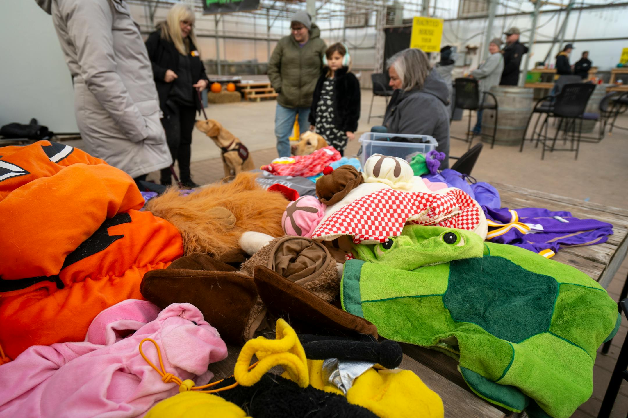 Dog costumes lay on the table at the Pawsitive Perspectives Assistance Dogs (PawPADs) booth at Cottage Grove's Fall Fun Days.