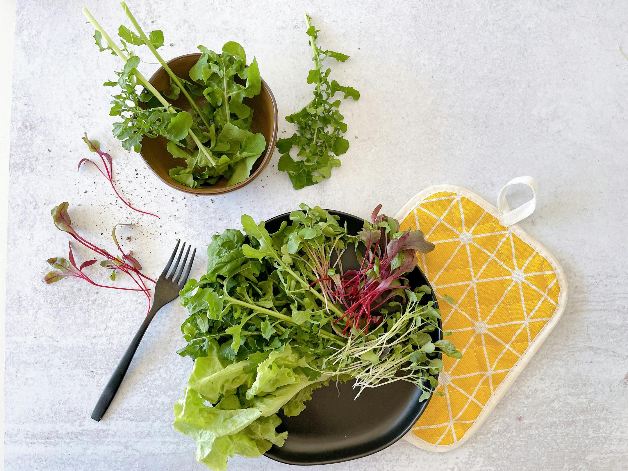 Provided. A sampling of microgreens and lettuces from Clayton Farms.