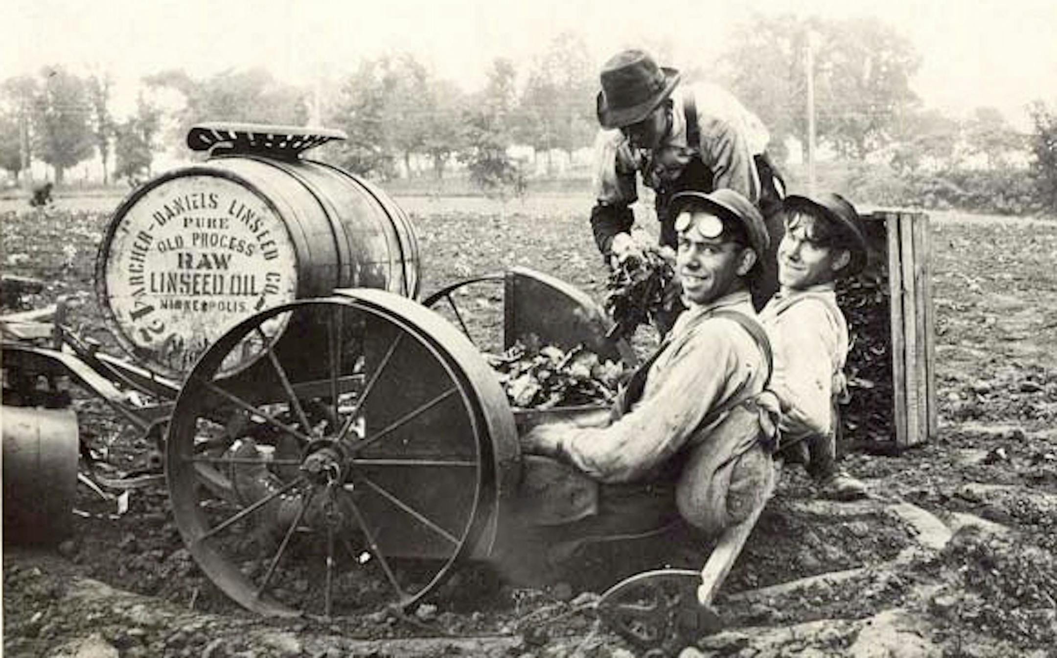 Walter and Henry Bachman Jr. planting cabbage on the present site of Bachman's on Lyndale, Circa 1912