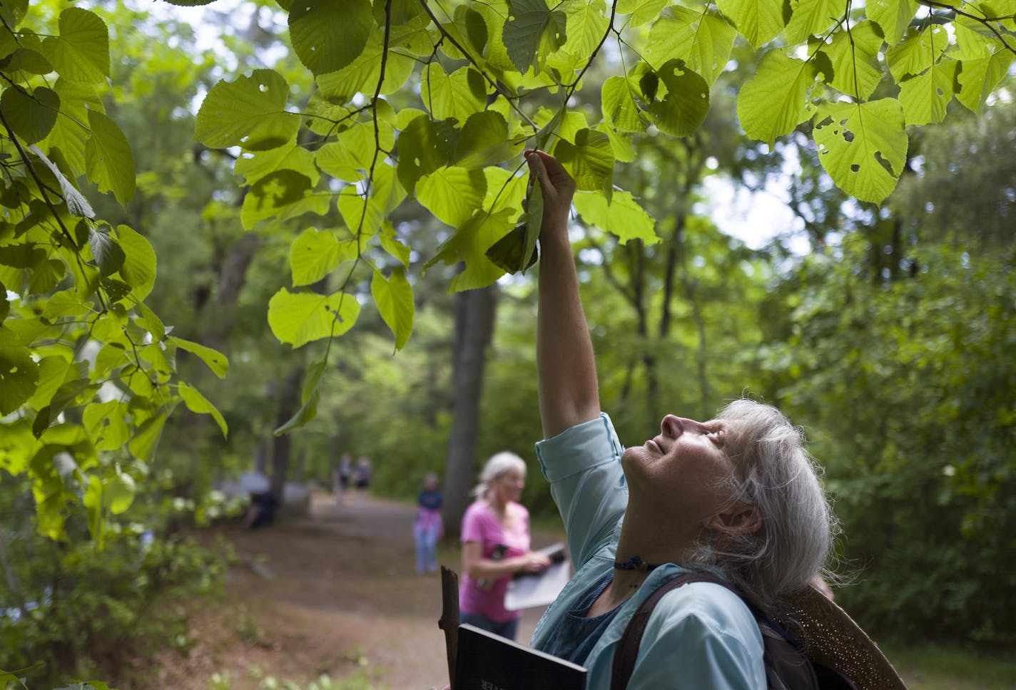 Christine Brandt, a certified forest therapy guide, led a small group on a walk at William O&#x2019;Brien State Park.