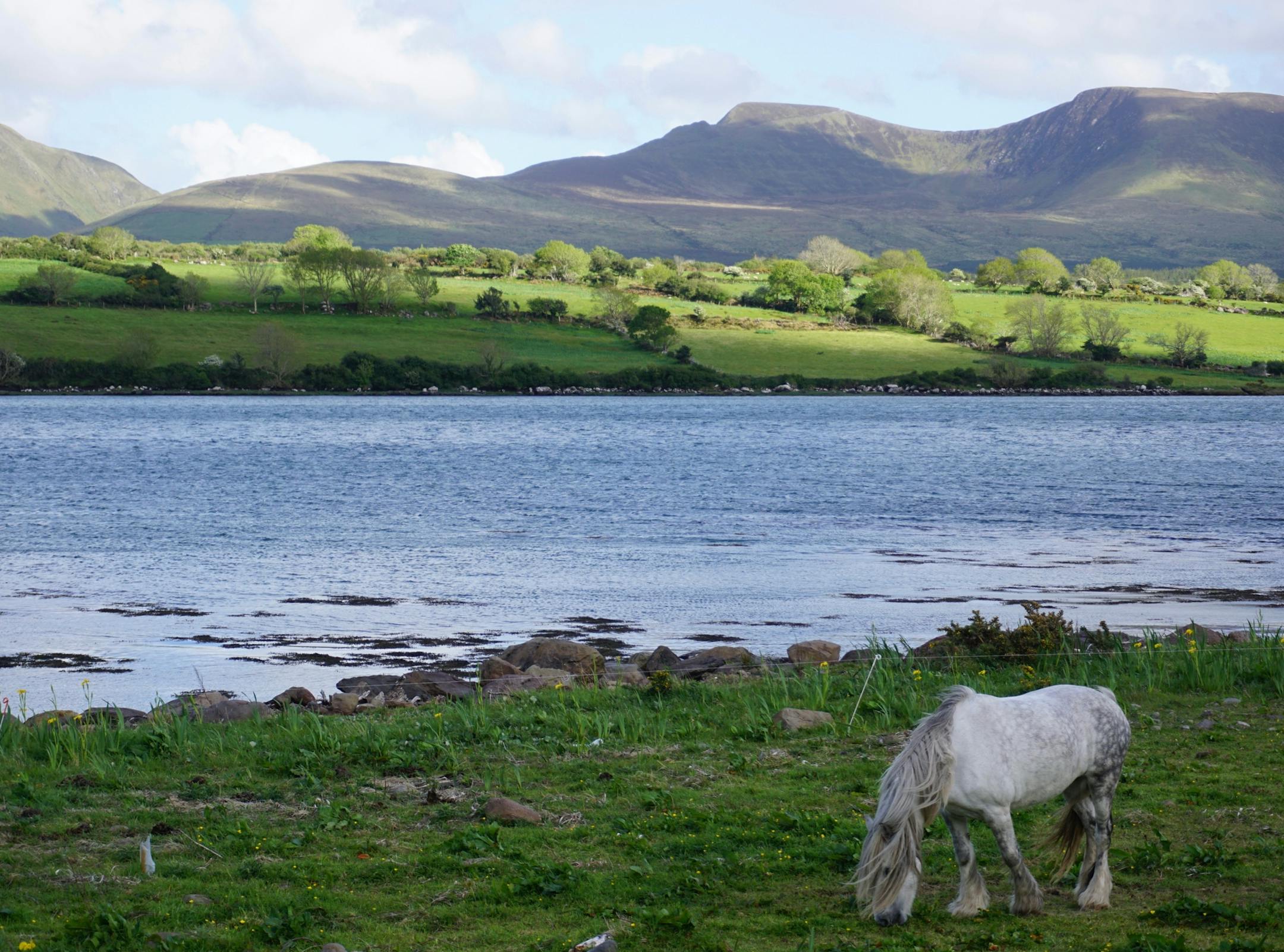 Dingle Peninsula.