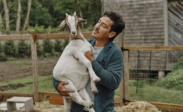 Jonathan Knight feeds goats at his farmhouse home in Essex, Mass., June 25, 2021. Now 52, Knight is balancing touring with a reunited ÒNew Kids on th