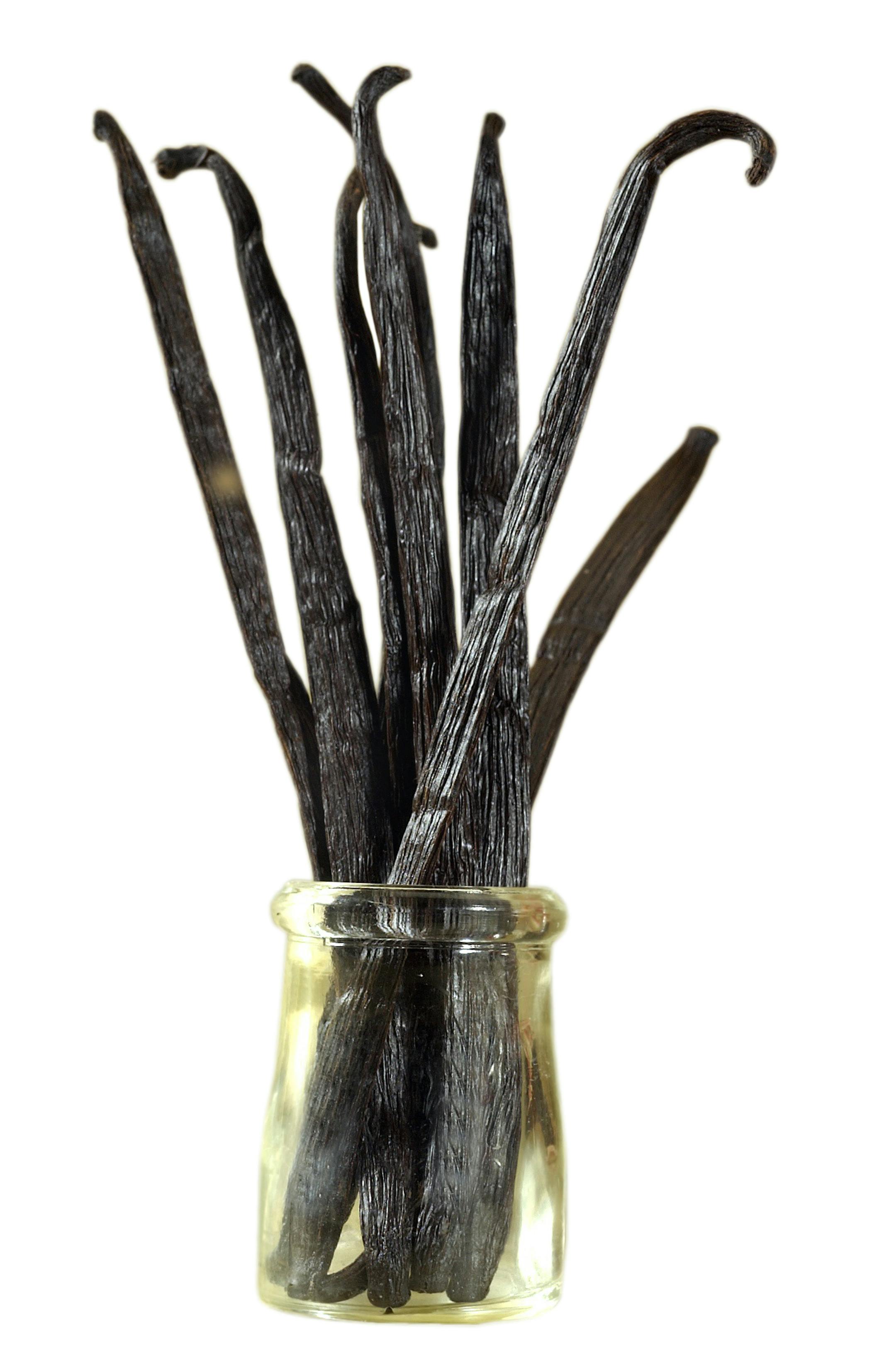 PHOTO BY BOB FILA/CHICAGO TRIBUNE (October 21) The tropical vanilla bean presents a dual nature -- enhancing savory as well as sweet preparations. (TB) NC KD 2002 (Vert) (gsb)