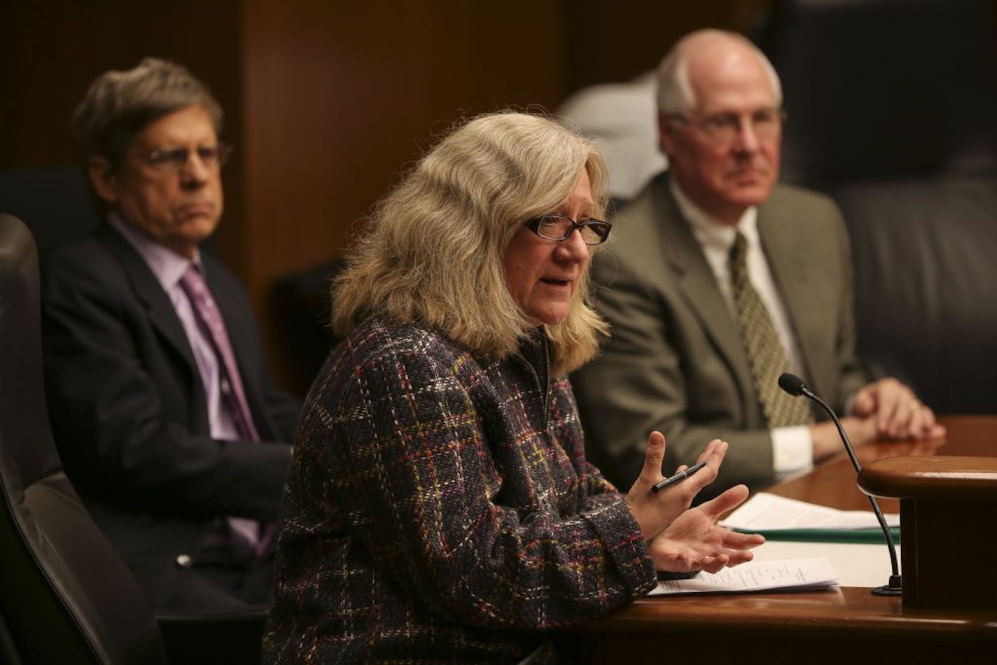 Four bills related to children's mental health received their first hearing of the legislative session Tuesday during a meeting of the House Health and Human Services Policy Committee. Sue Abderholden of the National Alliance on Mental Illness of Minnesota answered questions from legislators during the hearing at the State Capitol. At left was Tim Burkett of People Inc. and on the right was Charles Schulz of the University of Minnesota; they both gave testimony.