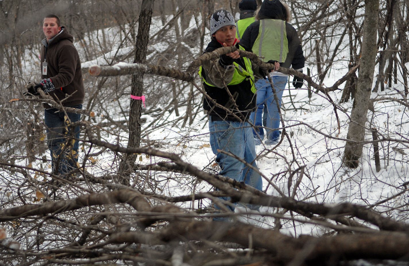 Most of the labor on the buckthorn project at Kelleher Park in Burnsville is supplied by nonviolent offenders in Dakota County's sentence-to-serve program. This crew was hauling and piling the buckthorn. It will be trucked to St. Paul, where a biomass plant will burn it to produce electricit