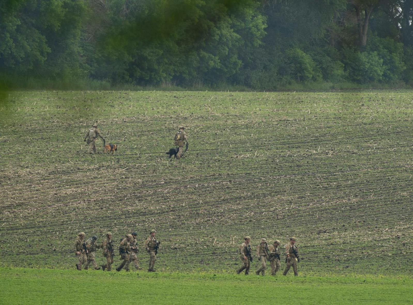 Law enforcement officers cross a farm field after searching a wooded area near where Vance Boelter was apprehended on Sunday.