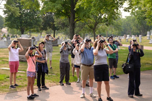 Lakewood Cemetery attracts flocks of birds, and birdwatchers.